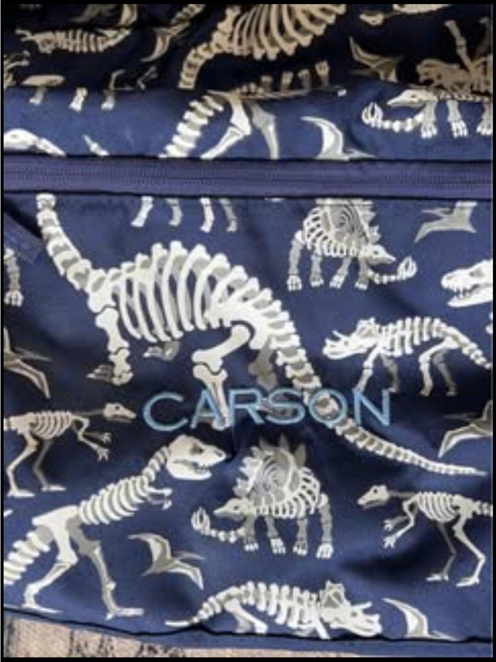 Pottery Barn Kids Navy Dinosaur Skeleton Carson Backpack
